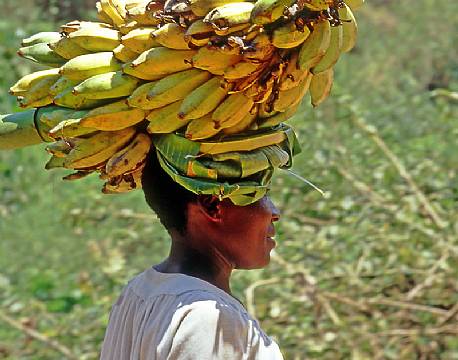 Karatu Tanzania africa tours