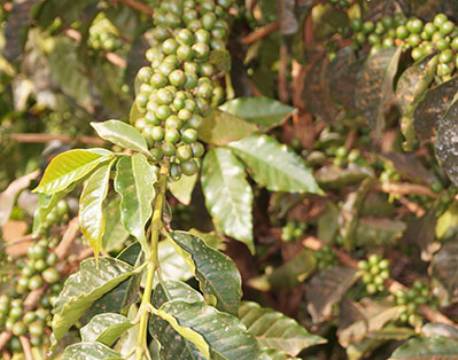 Karatu Tanzania africa tours