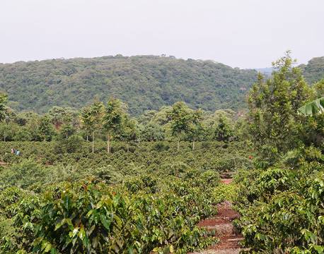 Karatu Tanzania africa tours