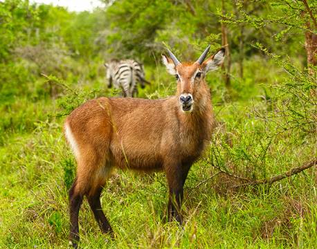 Lake Mburu Uganda africa tours
