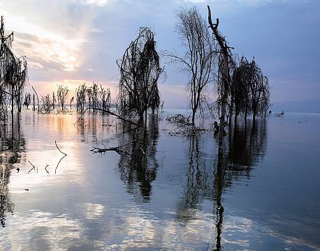 Lake Naivasha kenya africa tours