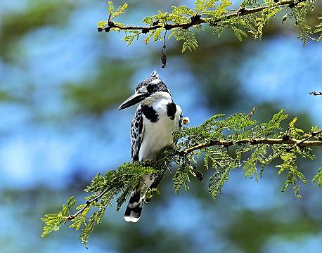 Lake Naivasha kenya africa tours