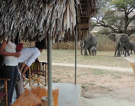 Tarangire Safari Lodge, Tarangire, Tanzania 6 africa tours