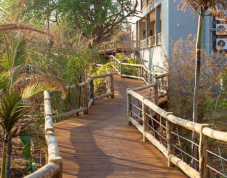 Chobe Bush Lodge botswana 9 africa tours