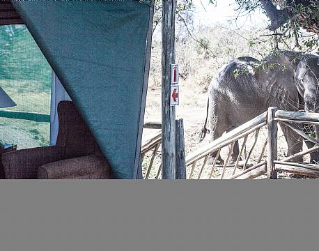 Pom Pom Camp botswana 7 africa tours