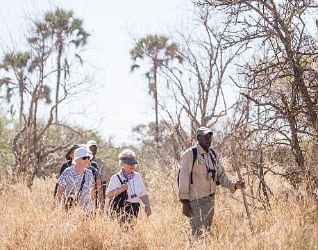 Moremi Crossing botswana 11 africa tours