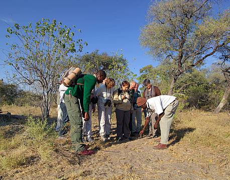 Gunns Camp botswana 9 africa tours