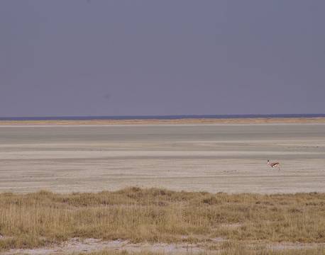 Etosha Salt Pan, Etosha, Namibia africa tours