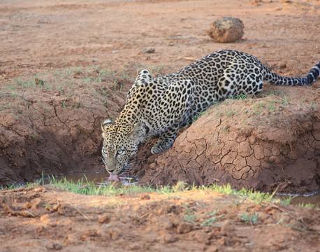 Samburu kenya africa tours