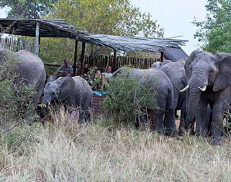 Africa on Foot Camp sydafrika 12 africa tours