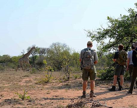Africa on Foot Camp sydafrika 1 africa tours