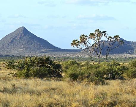 Samburu kenya africa tours