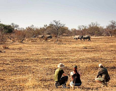 Klaserie Naturreservat sydafrika africa tours