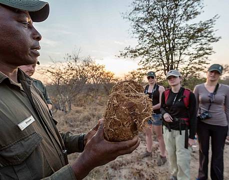 Klaserie Naturreservat sydafrika africa tours