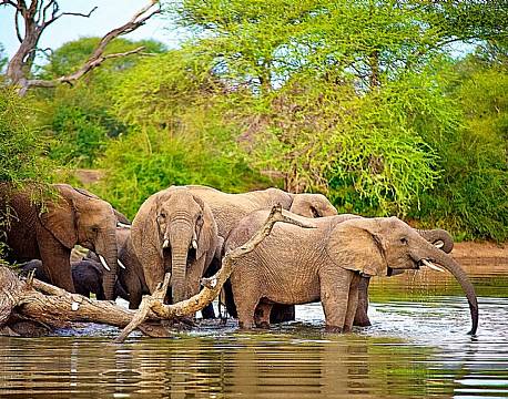 Klaserie Naturreservat sydafrika africa tours