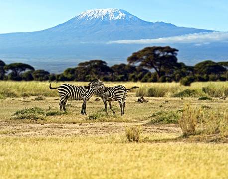 Amboseli kenya africa tours