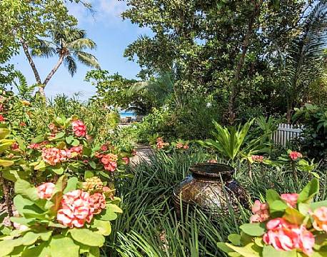 Le Repaire, Seychellerne 10 africa tours