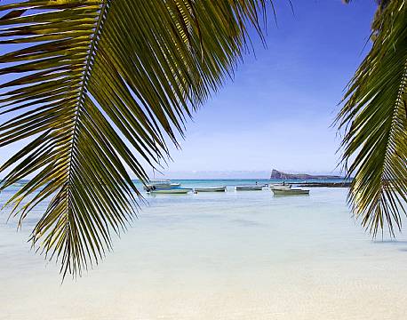 Seværdighed Mauritius indiske ocean africa tours