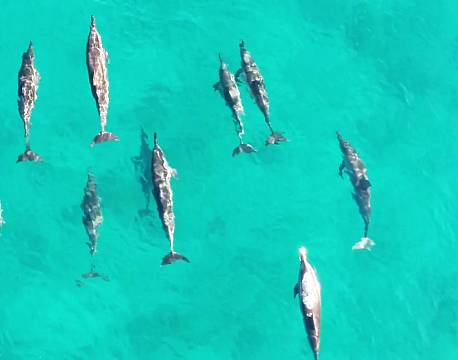 Seværdighed Mauritius indiske ocean africa tours