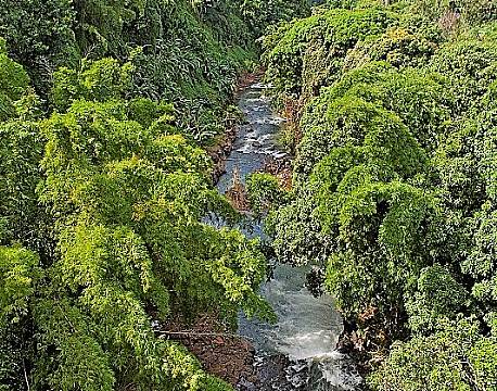 Seværdighed Mauritius indiske ocean africa tours