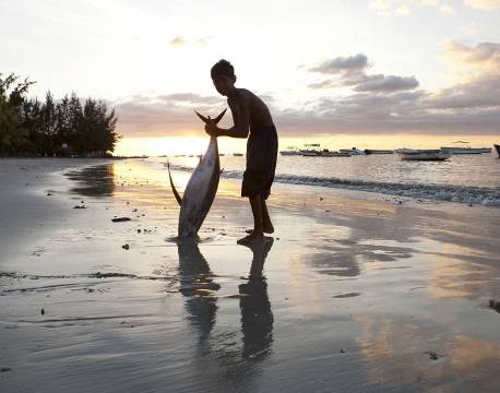 Seværdighed Mauritius indiske ocean africa tours