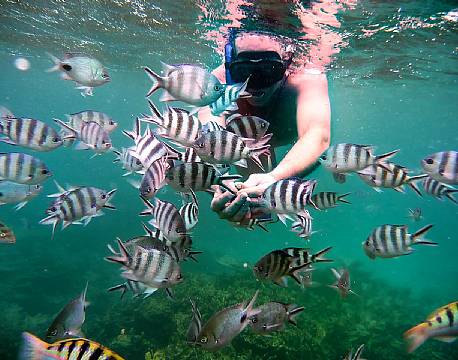Seværdighed Mauritius indiske ocean africa tours
