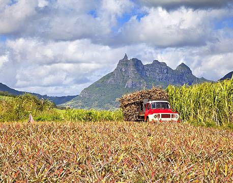 Seværdighed Mauritius indiske ocean africa tours