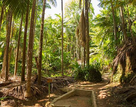 Seychellerne indiske ocean africa tours