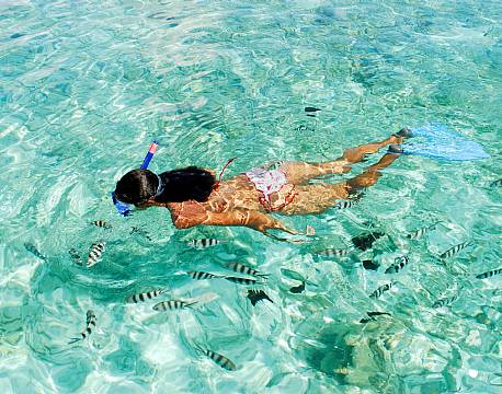 Seychellerne indiske ocean africa tours