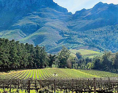 Vinlandet SA sydafrika africa tours