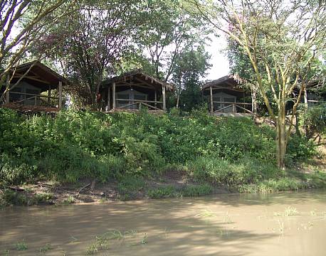  Mara Fig Tree Camp, Masai Mara, Kenya 3 africa tours
