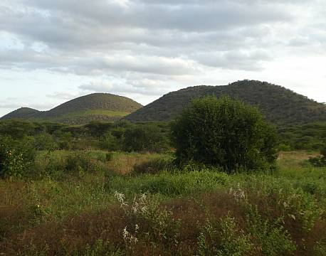 Tsavo Kenya africa tours