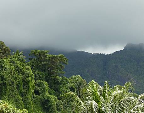 Seværdighed Mahé Seychellerne indisk ocean africa tours