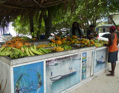 Seværdighed Mahé Seychellerne indisk ocean africa tours