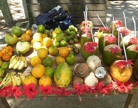 Seværdighed Mahé Seychellerne indisk ocean africa tours