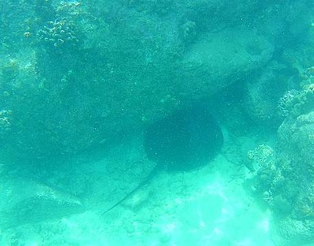 Seværdighed Praslin Seychellerne indisk ocean africa tours