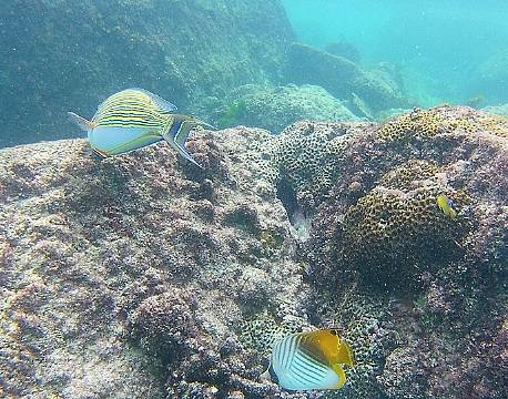 Seværdighed Praslin Seychellerne indisk ocean africa tours