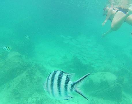 Seværdighed Praslin Seychellerne indisk ocean africa tours