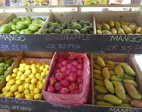 Seværdighed Praslin Seychellerne indisk ocean africa tours