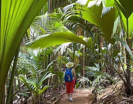 Seværdighed Praslin Seychellerne indisk ocean africa tours