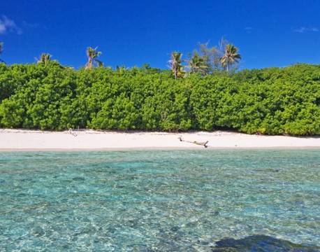 Seværdighed Bird Island indiske ocean africa tours