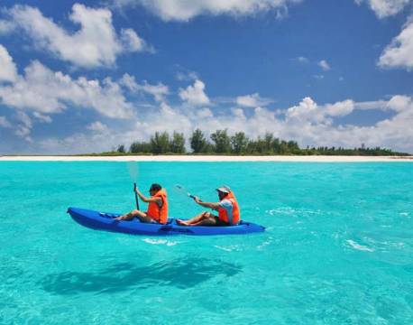 Seværdighed Bird Island indiske ocean africa tours