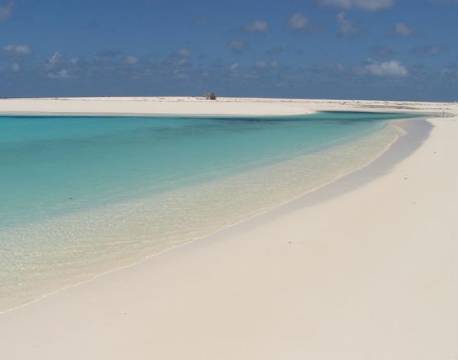 Seværdighed Bird Island indiske ocean africa tours