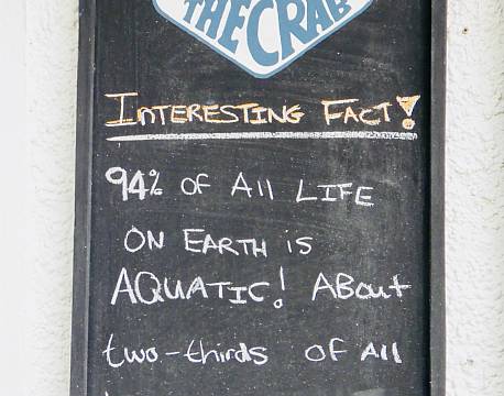 Sands of Nomad Mombasa Diani Beach Kenyakysten africa tours