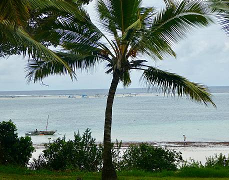  Baobab Beach Resort Diani Beach kenyakysten africa tours
