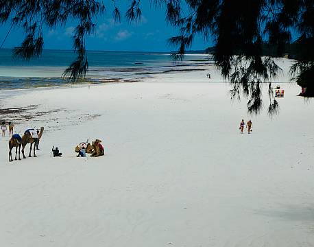  Baobab Beach Resort Diani Beach kenyakysten africa tours