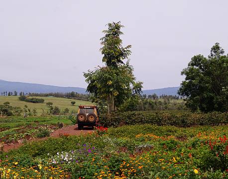 Ngorongoro Farm House, Tanzania 17 africa tours