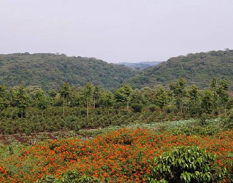 Karatu Tanzania africa tours