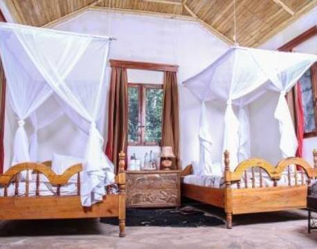 Primate Lodge Kibale Uganda 2 africa tours