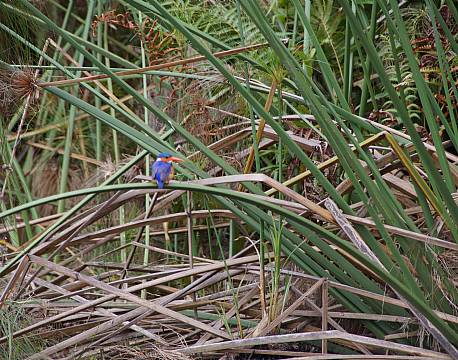 Lake Mburu Uganda africa tours